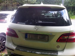 ineuropakennteuchkeinesau3