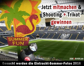 sommerfoto2016-teaser