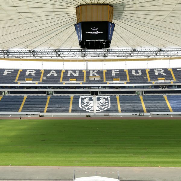 31.07.2014, Fussball, 1. BL, Verlegung neuer Rasen in der Commerzbank-Arena