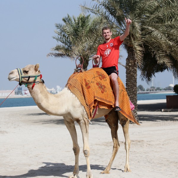 Er grüßt von oben. Torwart Lukas Hradecky hat es zum Adler der Saison geschafft. SGE4EVER,de sagt herzlichen Glückwunsch.