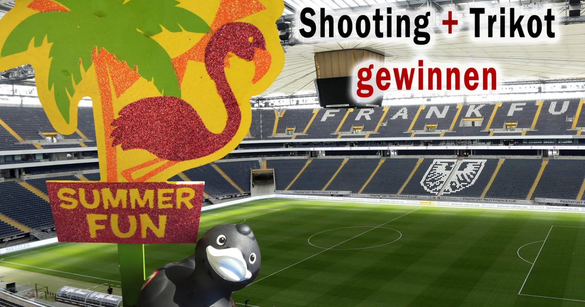 sommerfoto2016-teaser