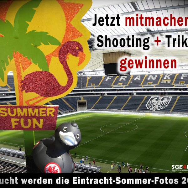 sommerfoto2016-teaser