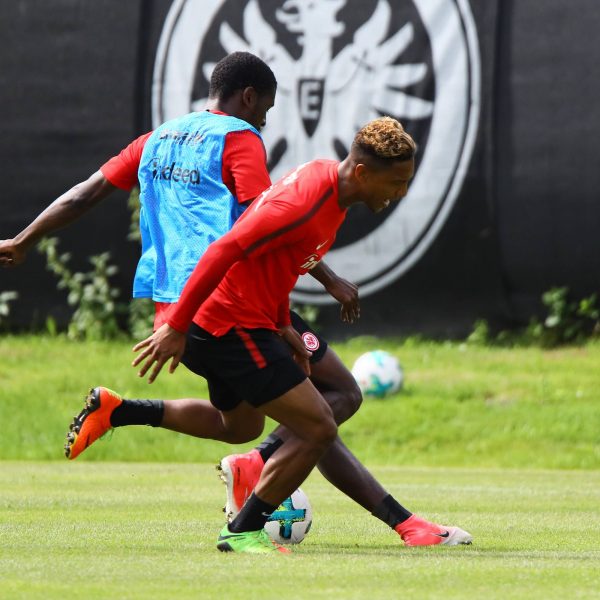  Plagen sich beide mit Adduktorenbeschwerden rum: Jonathan de Guzman (vo.) und Andersson Ordóñez. (Foto: imago/Schüler)