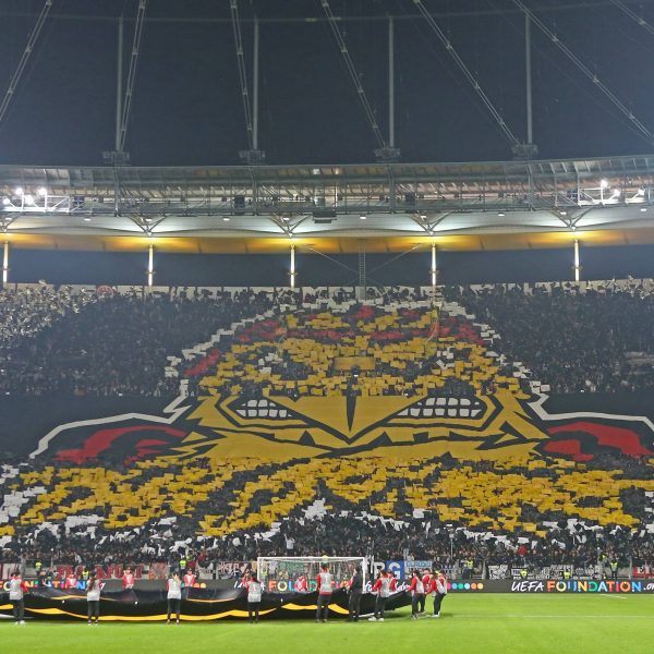 Zuhause in Europa - Fans und Verein nehmen diesen Wettbewerb ernst (Bild: imago/Sven Simon)