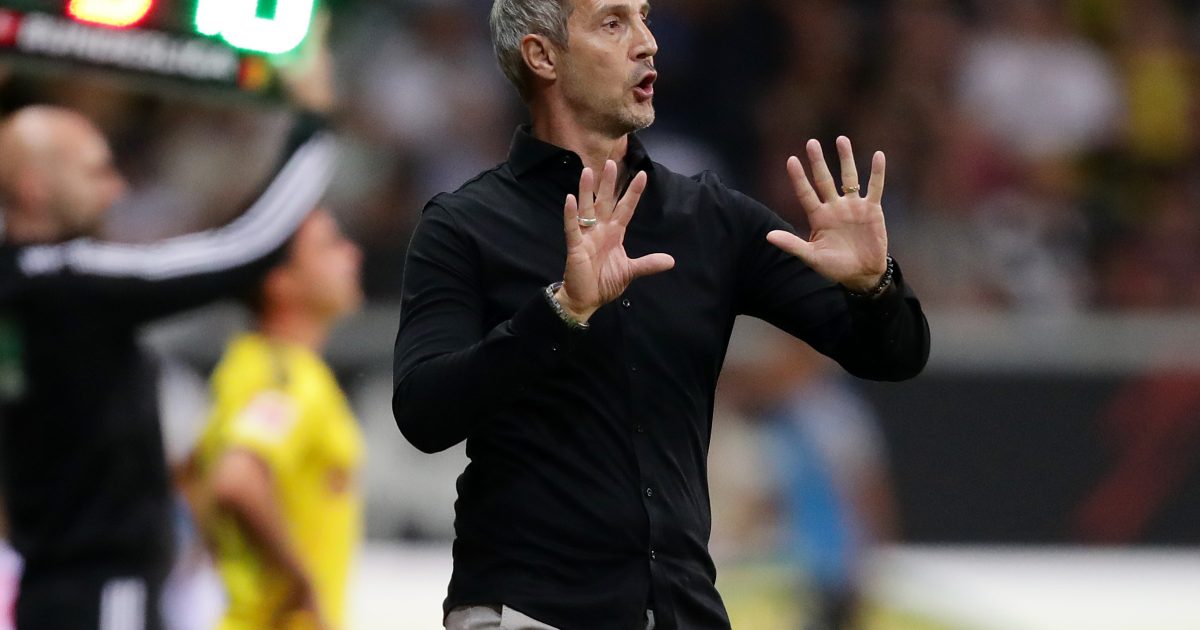 Nicht nur zehn, sondern schon elf Spieltage sind vorbei. Wie ist die derzeitige Situation der SGE einzuordnen? (Foto: Heiko Rhode)