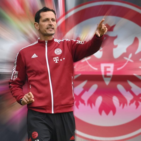  Dino Toppmöller soll neuer Trainer der SGE sein. (Bild: IMAGO / Sven Simon)