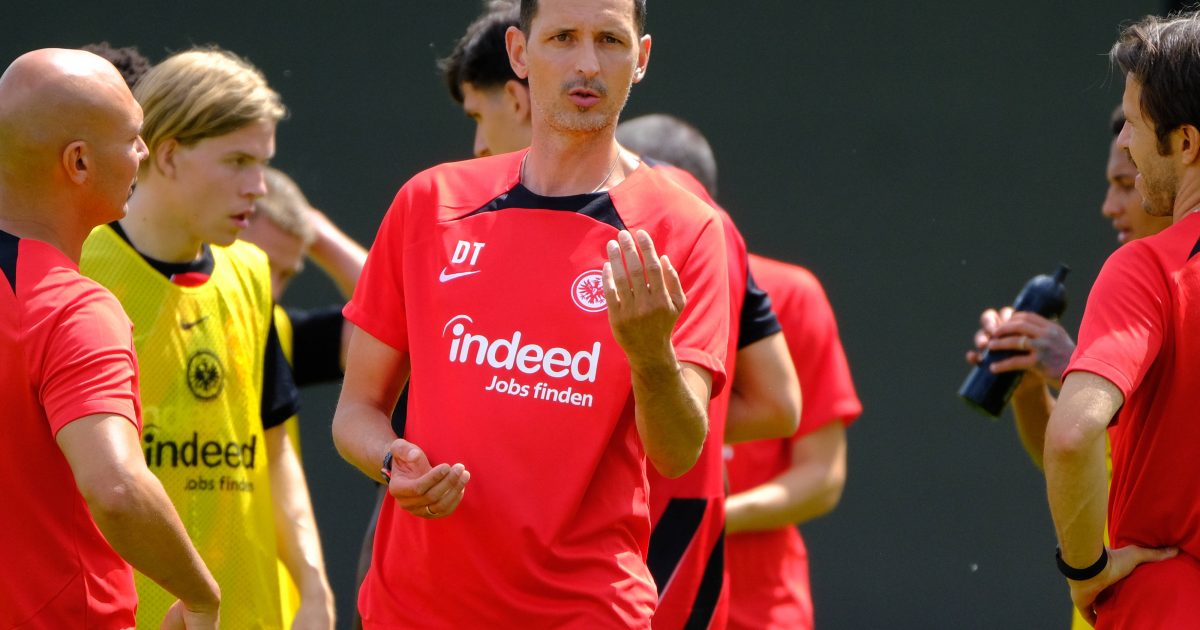  Dino Toppmöller lobt die gute Energie seiner Spieler. (Bild: IMAGO / Eibner)