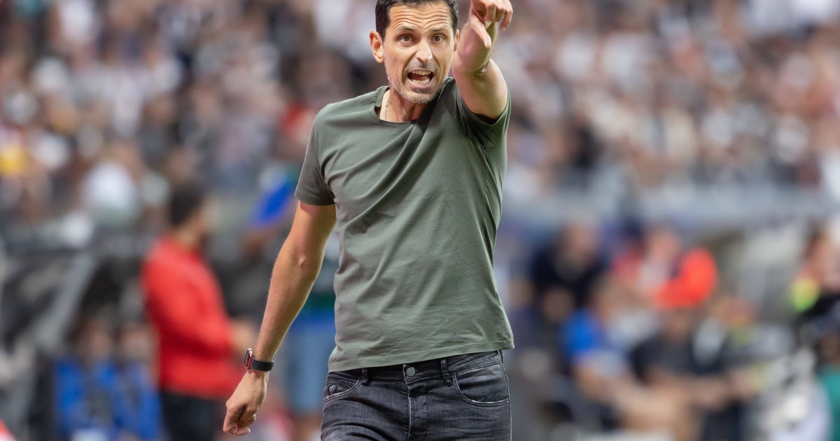 Dino Toppmöller ist in seiner ersten Saison bei der SGE (Foto: IMAGO / Kessler-Sportfotografie)