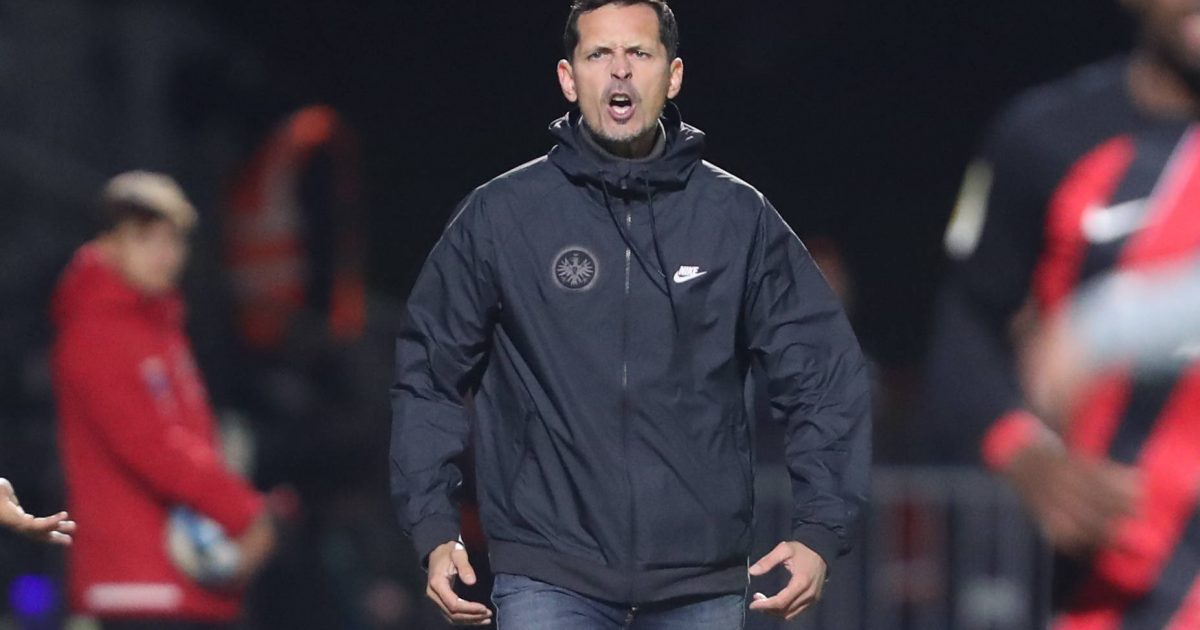  Dino Toppmöller erwartet ein umkämpftes Spiel in Berlin. (Foto: IMAGO / eu-images)