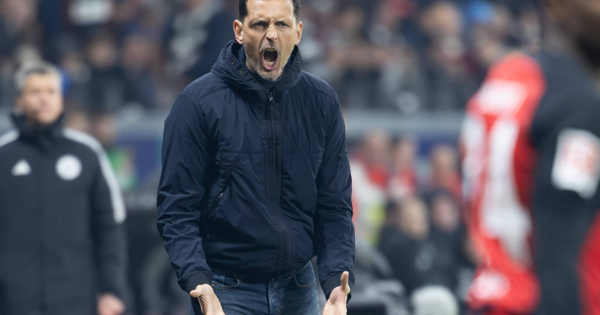  Dino Toppmöller will mit der SGE mutig gegen die Bayern auftreten. (Foto: IMAGO / Kessler-Sportfotografie)