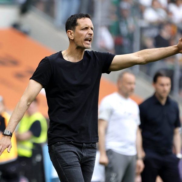  Dino Toppmöller erreicht in seiner ersten Saison als Trainer der SGE Europa. (IMAGO / Norbert Schmidt)