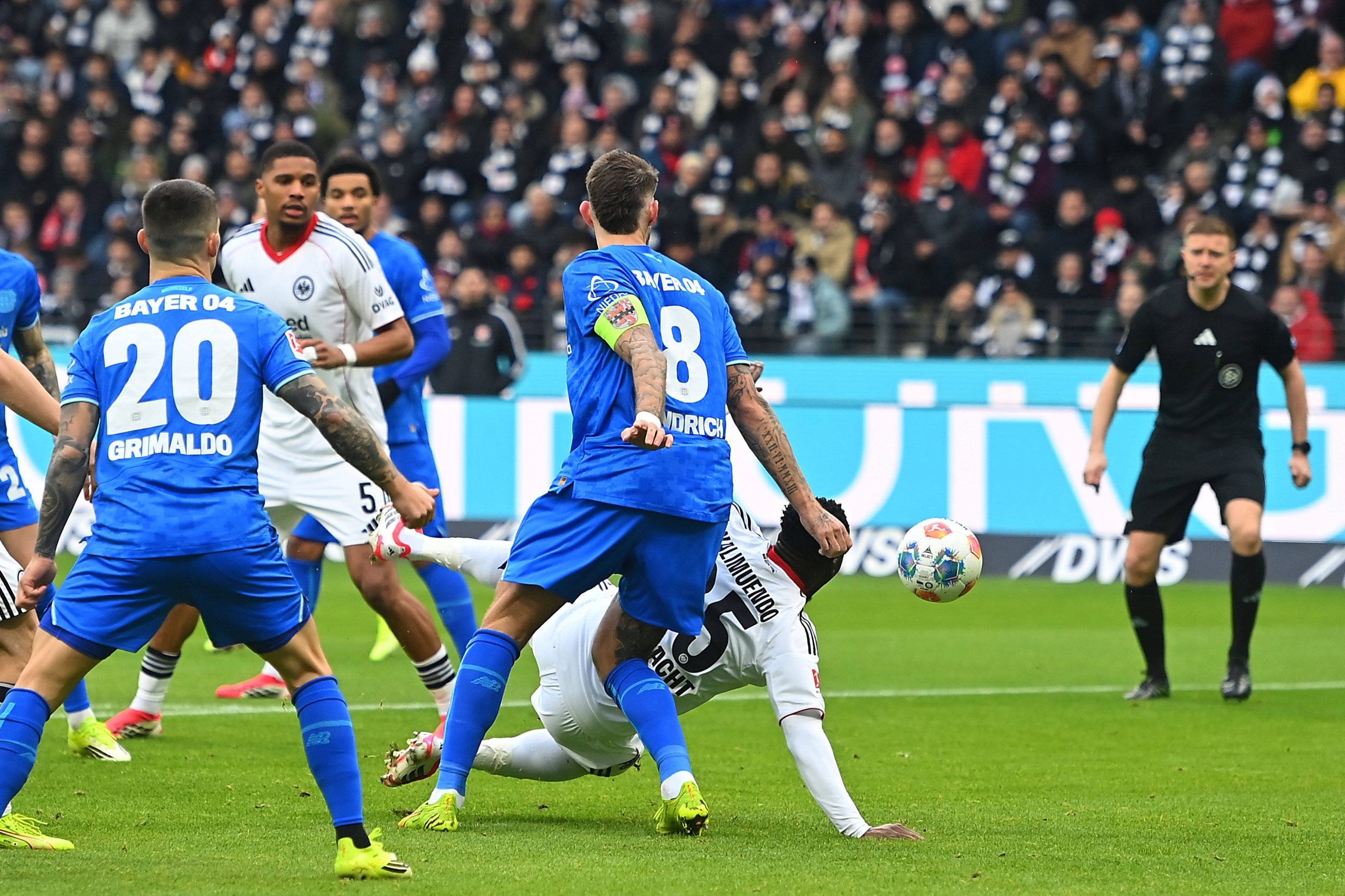 SGE in brief: Eintracht's penalty controversy: DFB admits mistake