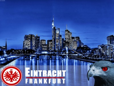 plus Lesezeic Decke SGE Eintracht Frankfurt Fleecedecke Skyline Kuscheldecke 